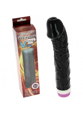 Vibromasseur Noir Réaliste Multi-speed - 22 cm
