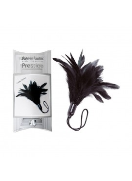 Plumeau Noir Prestige