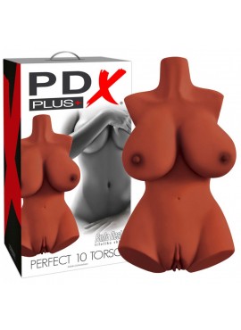Torse Perfect 10 PDX Plus Marron