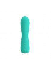 Vibromasseur Rechargeable Pretty Love Elfin