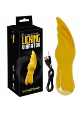 Vibromasseur Rechargeable avec 3 Langues
