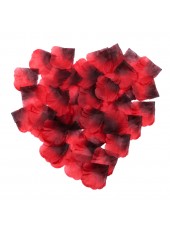 Pack de 100 Pétales de Rose - 100610RED