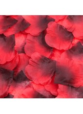 Pack de 100 Pétales de Rose - 100610RED